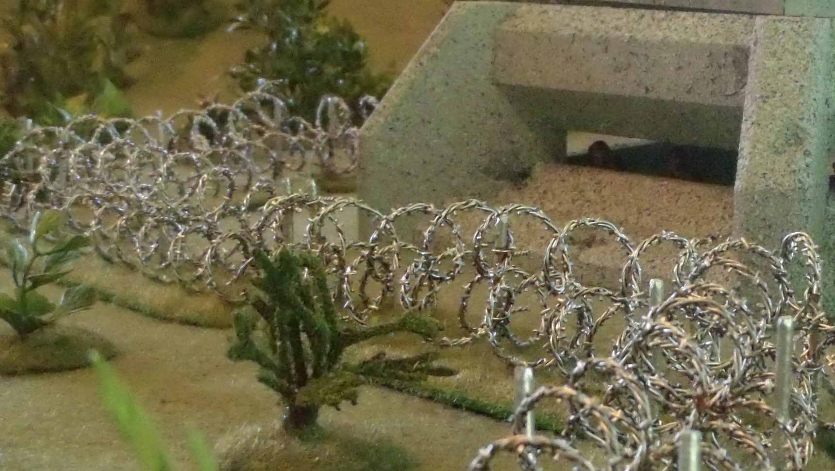 Barbed deals wire obstacle